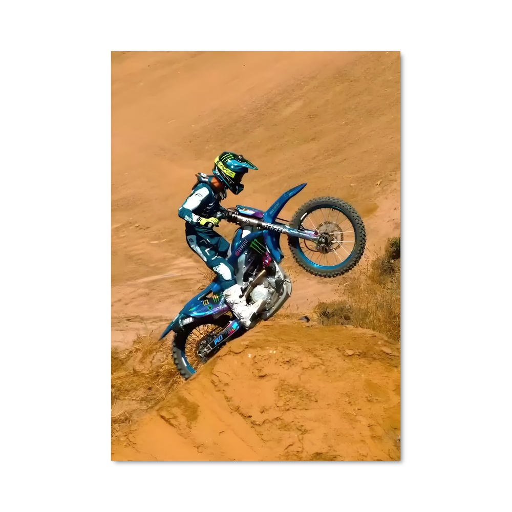 Poster Freestyle Rider – affiche Motocross freestyle